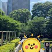 ヒメ日記 2025/06/20 08:33 投稿 夏織(かおり) 相模原人妻城