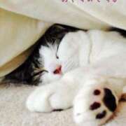 ヒメ日記 2025/06/29 08:33 投稿 夏織(かおり) 相模原人妻城