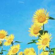 ヒメ日記 2025/07/19 04:03 投稿 夏織(かおり) 相模原人妻城