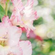 ヒメ日記 2025/08/12 01:06 投稿 夏織(かおり) 相模原人妻城