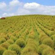 ヒメ日記 2025/09/21 20:39 投稿 夏織(かおり) 相模原人妻城