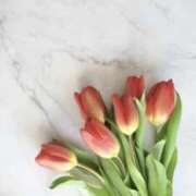 ヒメ日記 2025/09/26 03:09 投稿 夏織(かおり) 相模原人妻城