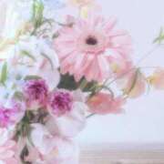 ヒメ日記 2025/11/21 08:42 投稿 夏織(かおり) 相模原人妻城