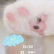 ヒメ日記 2025/11/22 13:18 投稿 夏織(かおり) 相模原人妻城