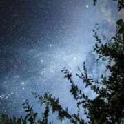 ヒメ日記 2025/12/12 03:03 投稿 夏織(かおり) 相模原人妻城