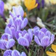 ヒメ日記 2025/12/14 11:33 投稿 夏織(かおり) 相模原人妻城