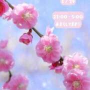 ヒメ日記 2026/01/29 10:48 投稿 夏織(かおり) 相模原人妻城