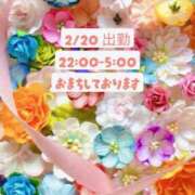 ヒメ日記 2026/02/20 19:03 投稿 夏織(かおり) 相模原人妻城