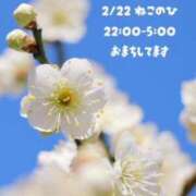 ヒメ日記 2026/02/22 21:03 投稿 夏織(かおり) 相模原人妻城