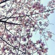 ヒメ日記 2026/03/31 09:27 投稿 夏織(かおり) 相模原人妻城