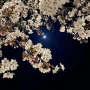 夏織(かおり) ありがとうございました！ 相模原人妻城