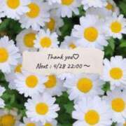 ヒメ日記 2026/04/26 03:33 投稿 夏織(かおり) 相模原人妻城