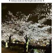 ヒメ日記 2025/04/08 15:17 投稿 まゆり 熟女家 梅田店