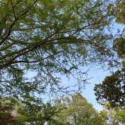 ヒメ日記 2026/03/23 15:06 投稿 花耶【カヤ】 輝女