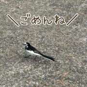 ヒメ日記 2025/07/14 20:25 投稿 かごめ ぷるるんギャング