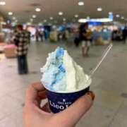 ヒメ日記 2025/10/08 12:06 投稿 かごめ ぷるるんギャング