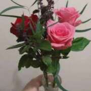 ヒメ日記 2025/10/16 01:05 投稿 かごめ ぷるるんギャング