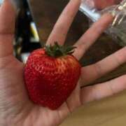 ヒメ日記 2026/04/01 14:35 投稿 かごめ ぷるるんギャング