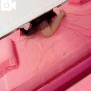 ヒメ日記 2025/06/20 10:02 投稿 きらり マリン土浦本店