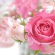 ヒメ日記 2024/12/18 22:38 投稿 ことね姫 螢