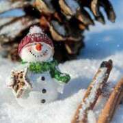 ヒメ日記 2024/12/19 22:22 投稿 ことね姫 螢