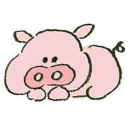 ヒメ日記 2024/12/26 21:12 投稿 ことね姫 螢