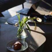 ヒメ日記 2025/01/07 22:42 投稿 ことね姫 螢