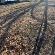 ヒメ日記 2025/01/16 09:13 投稿 ことね姫 螢