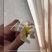 ヒメ日記 2025/01/17 20:21 投稿 ことね姫 螢