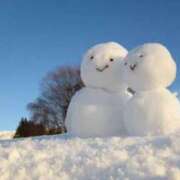 ヒメ日記 2025/01/18 10:32 投稿 ことね姫 螢