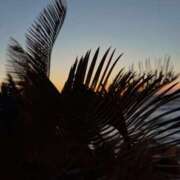 ヒメ日記 2025/02/23 21:30 投稿 ことね姫 螢