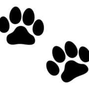 ヒメ日記 2025/05/14 17:50 投稿 ことね姫 螢