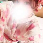 ヒメ日記 2025/06/17 09:16 投稿 ことね姫 螢