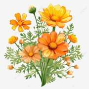 ヒメ日記 2025/10/16 13:17 投稿 ことね姫 螢