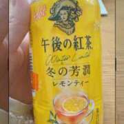 ヒメ日記 2026/01/15 09:17 投稿 ことね姫 螢