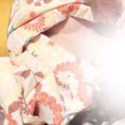 ヒメ日記 2026/02/12 22:18 投稿 ことね姫 螢