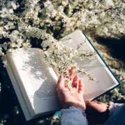 ヒメ日記 2026/02/27 21:12 投稿 ことね姫 螢