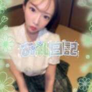 ヒメ日記 2025/02/01 14:16 投稿 ひまわり 土浦ビデオdeはんど