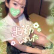 ヒメ日記 2025/02/03 10:06 投稿 ひまわり 土浦ビデオdeはんど