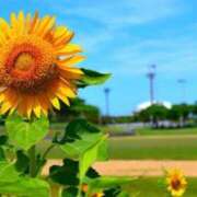 ヒメ日記 2025/02/21 10:42 投稿 ひまわり 土浦ビデオdeはんど