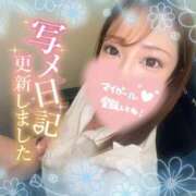 ヒメ日記 2025/02/25 17:16 投稿 ひまわり 土浦ビデオdeはんど