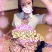 ヒメ日記 2025/04/03 07:16 投稿 ひまわり 土浦ビデオdeはんど