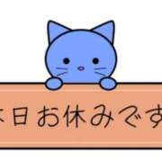 ヒメ日記 2025/04/08 08:56 投稿 ひまわり 土浦ビデオdeはんど