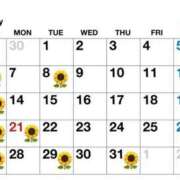 ヒメ日記 2025/07/09 19:46 投稿 ひまわり 土浦ビデオdeはんど