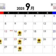 ヒメ日記 2025/09/15 16:36 投稿 ひまわり 土浦ビデオdeはんど