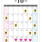 ヒメ日記 2025/10/01 18:36 投稿 ひまわり 土浦ビデオdeはんど