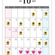 ヒメ日記 2025/10/03 16:06 投稿 ひまわり 土浦ビデオdeはんど