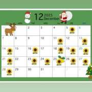 ヒメ日記 2025/11/30 17:16 投稿 ひまわり 土浦ビデオdeはんど