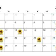 ヒメ日記 2026/01/09 21:06 投稿 ひまわり 土浦ビデオdeはんど