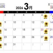 ヒメ日記 2026/03/04 16:16 投稿 ひまわり 土浦ビデオdeはんど